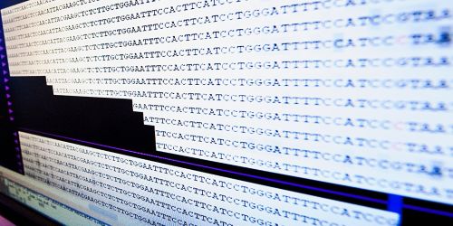 image of genetic code on computer screen