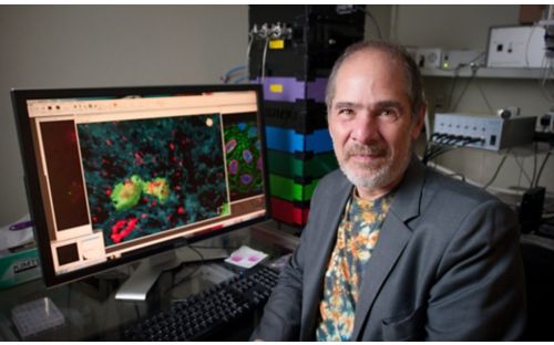 Can ESCRT-III proteins protect cells from necroptosis?