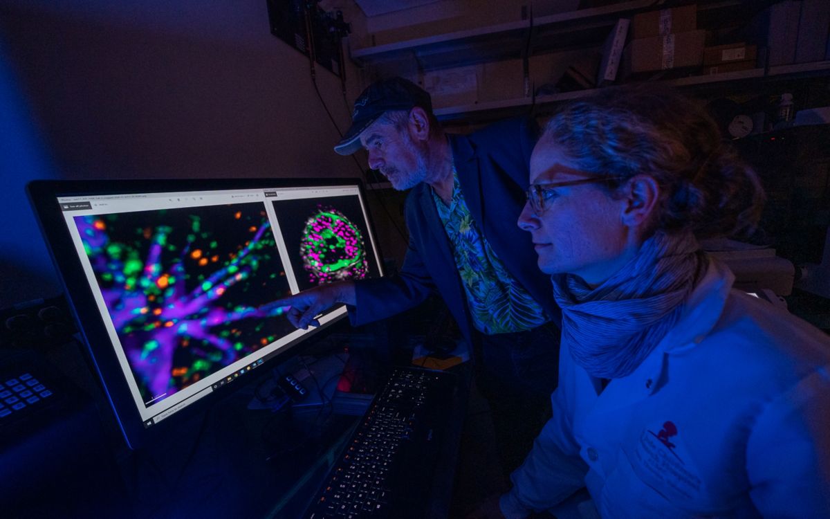 Green Lab | St. Jude Research