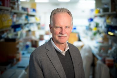 Gerard C. Grosveld, PhD