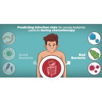 Gut microbiome predicts infection risk in leukemia patients