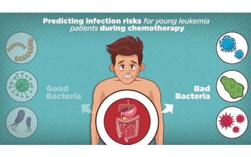 Gut microbiome predicts infection risk in leukemia patients