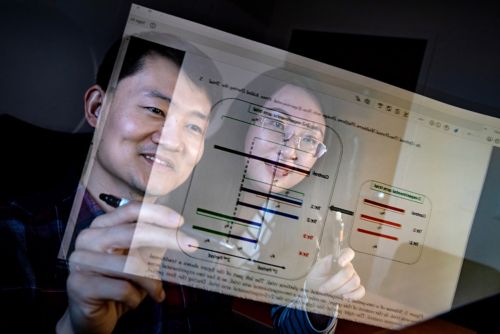 Haitao Pan, PhD, and Xiaomeng Yuan, PhD