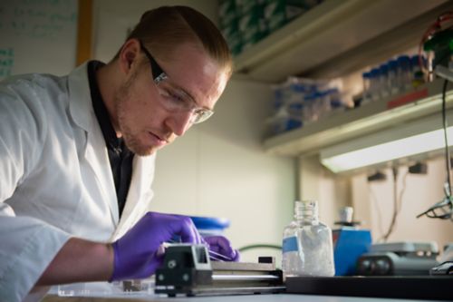 Male student in research lab