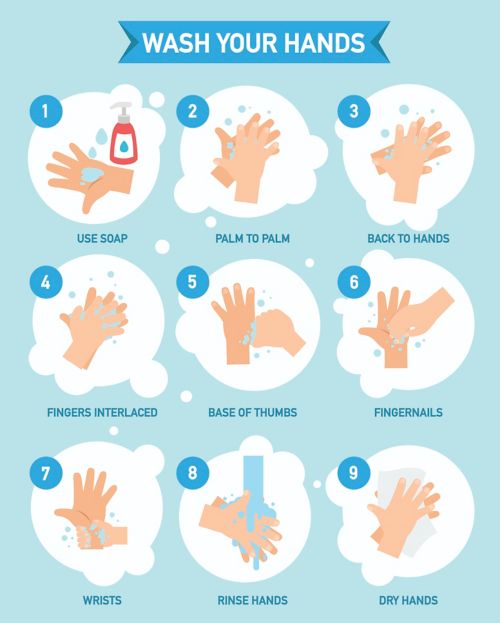 Steps to wash your hands correctly.