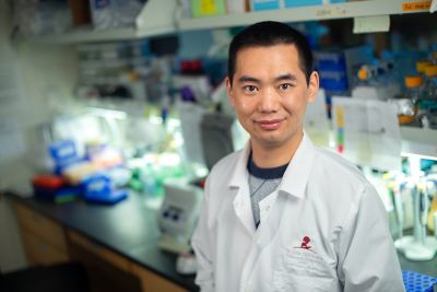 Minghong He, PhD