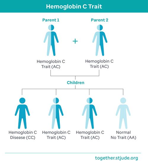 If both parents have hemoglobin C trait:   With each pregnancy, there is a 25% (1 in 4) chance of having a child with hemoglobin C disease. 