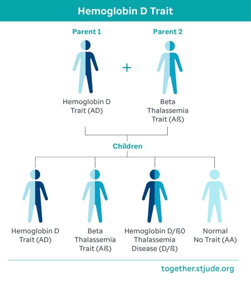 One parent with hemoglobin D trait and the other parent with Beta Thalassemia trait