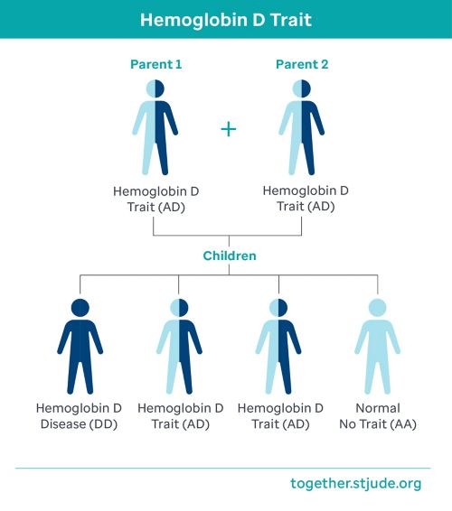 Both parents with Hemoglobin D Trait