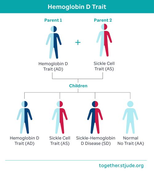 One parent with hemoglobin D trait and other parent with sickle cell trait