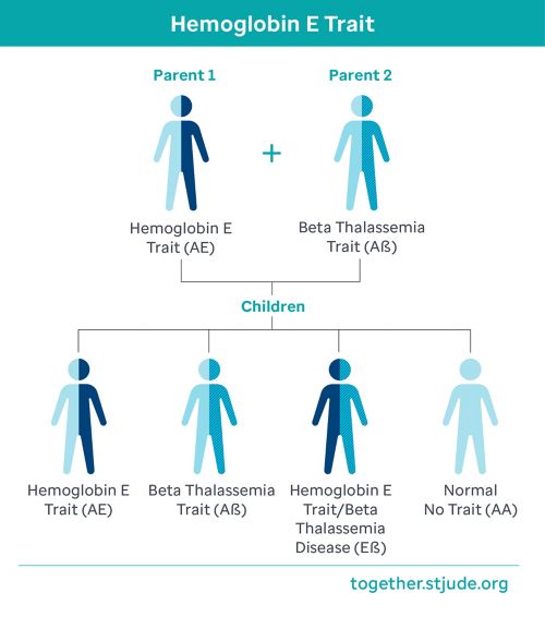 If one parent has hemoglobin E trait and the other parent has beta thalassemia trait