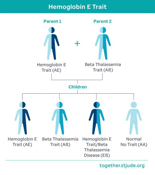 Si uno de los padres tiene rasgo de hemoglobina E y el otro tiene rasgo de beta talasemia