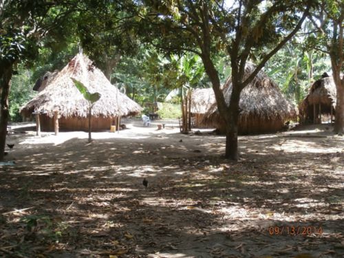 Hut in village