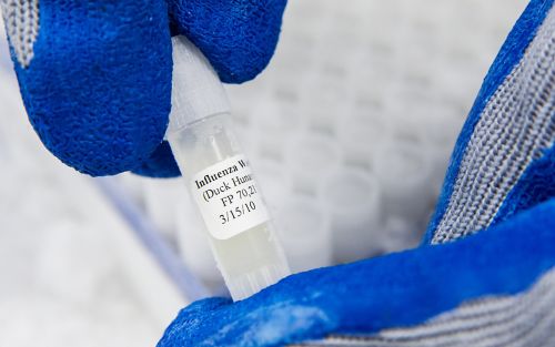 gloved hand holding frozen tube