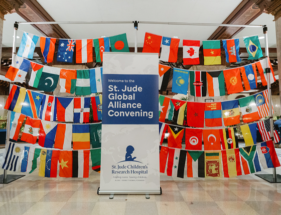 A backdrop made up of country flags.