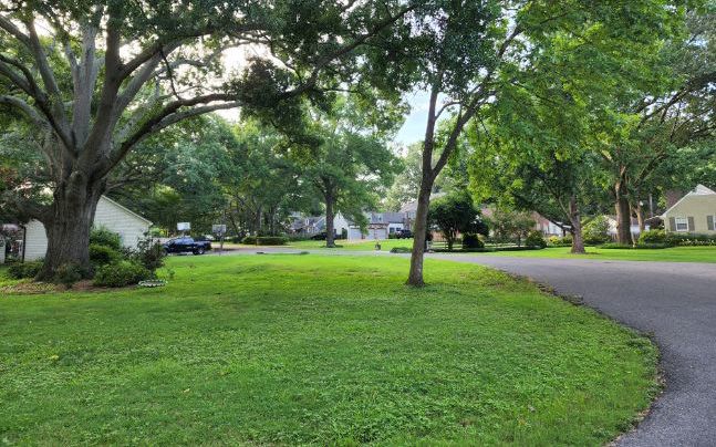 High Point Terrace neighborhood.