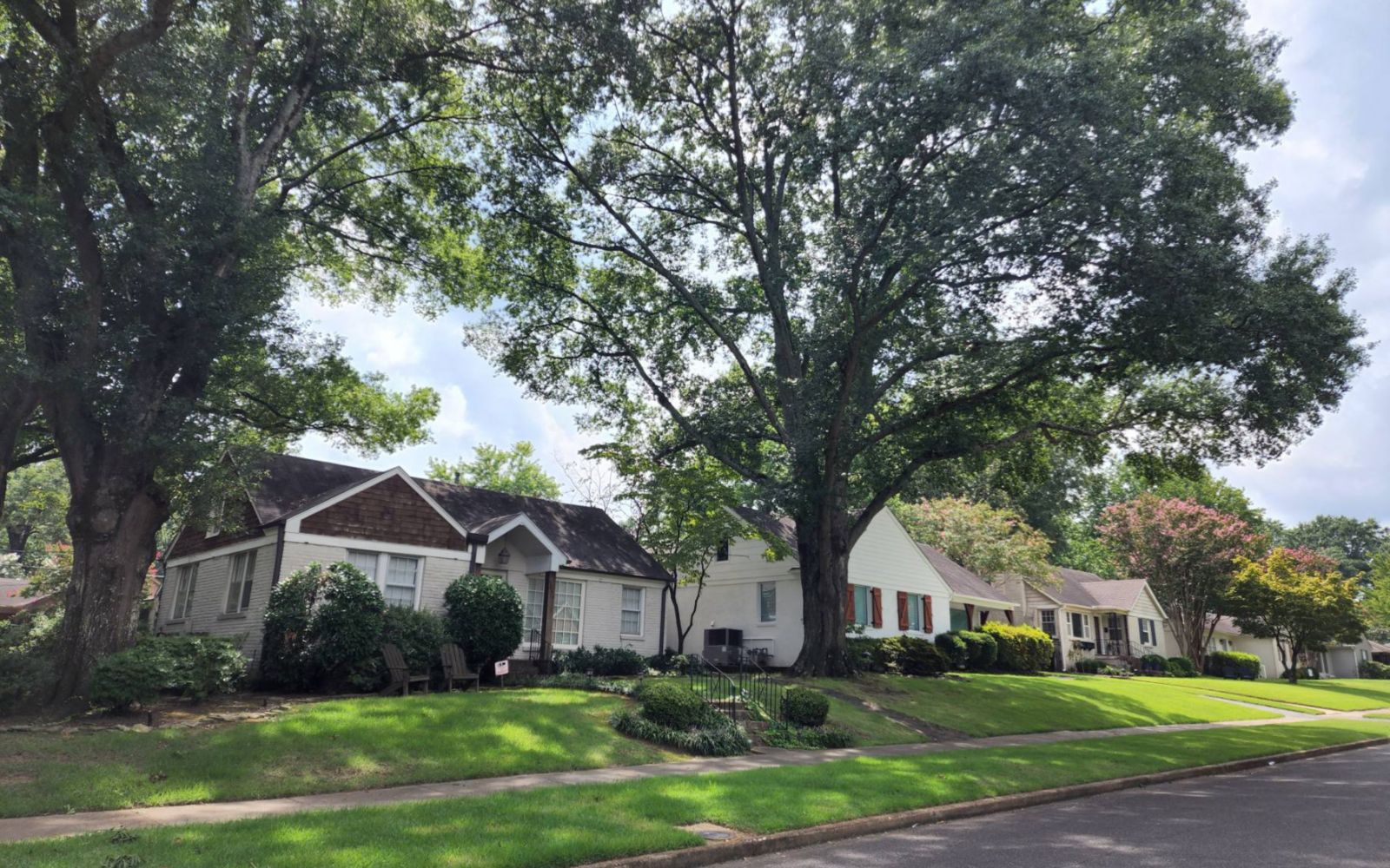 High Point Terrace neighborhood.