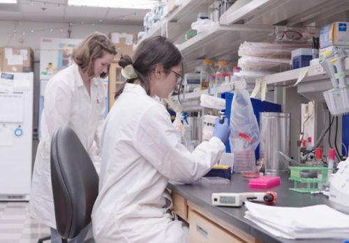 two females working at a lab bench