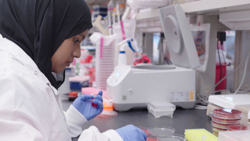 Woman in a hijab working at a lab bench