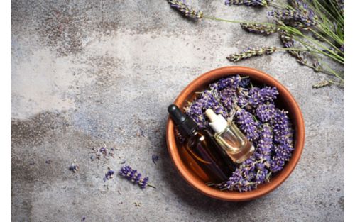 A container of oil in a bowl of lavender 