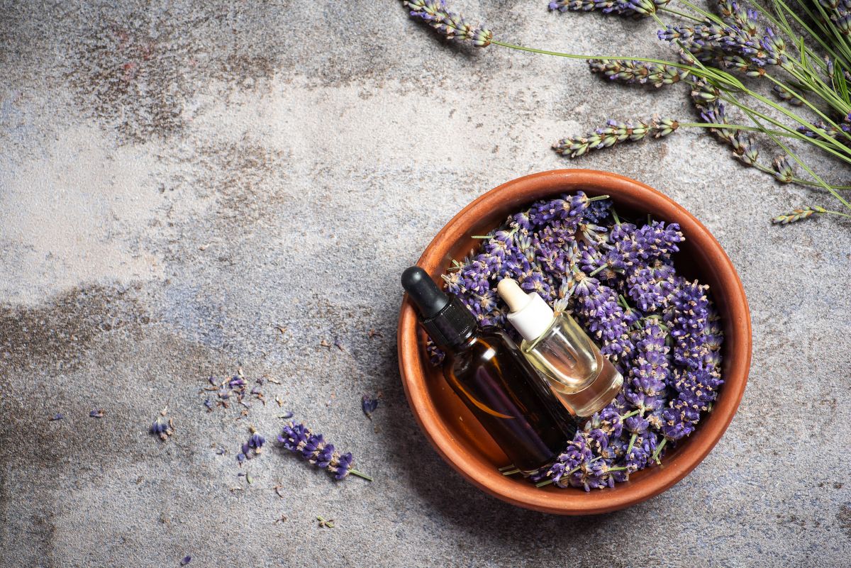 Lavender for Anxiety Relief: An Evidence-Based Guide to This