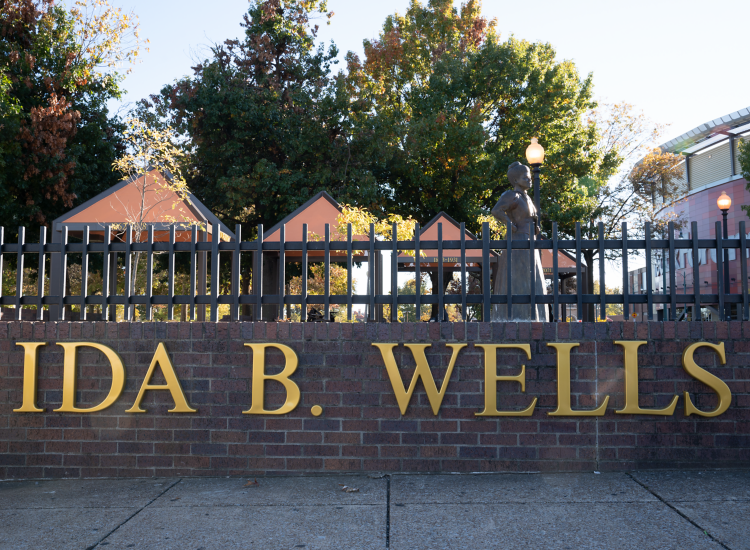 Ida B. Wells entrance park with statue behind fence