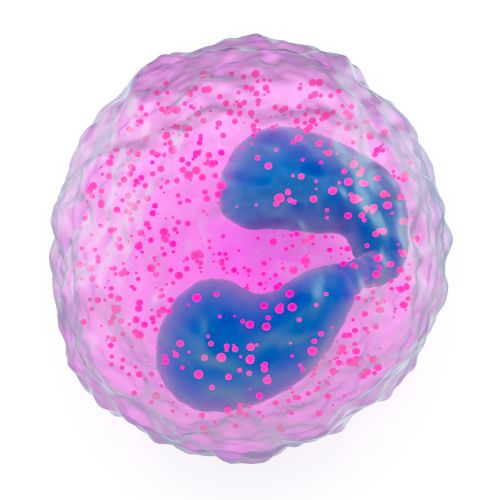 Eosinófilos