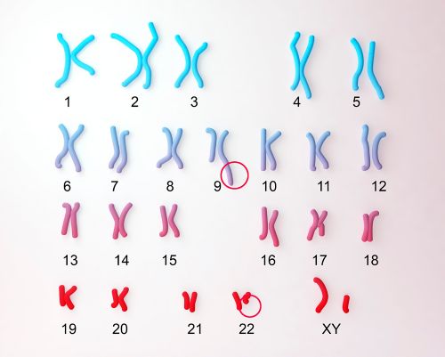 3D illustration showing defective 9 and 22 chromosomes