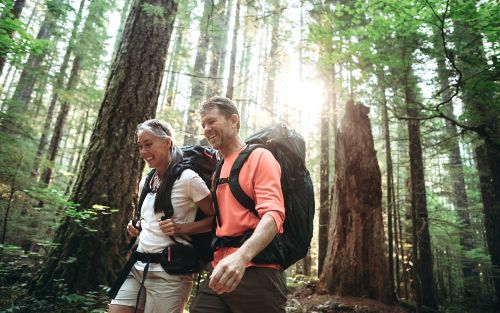 Stock photo of couple hiking in the woods