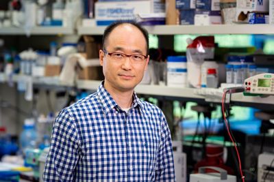 Seung Jae Lee, PhD