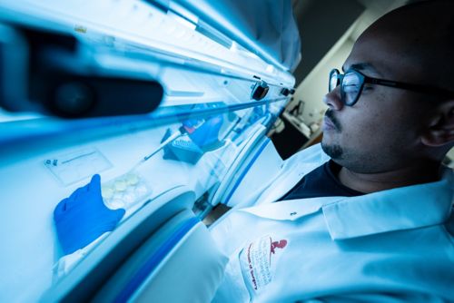 Image of man working in lab