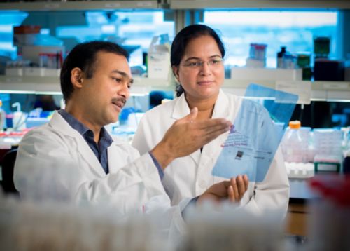 R.K. Subbarao Malireddi, PhD, pictured with Thirumala-Devi Kanneganti, PhD