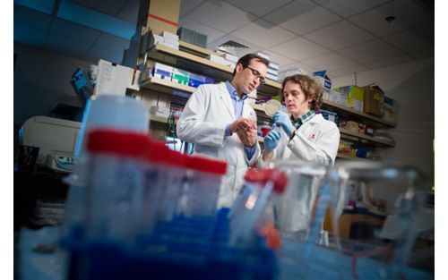 two scientists discussing research in a laboratory