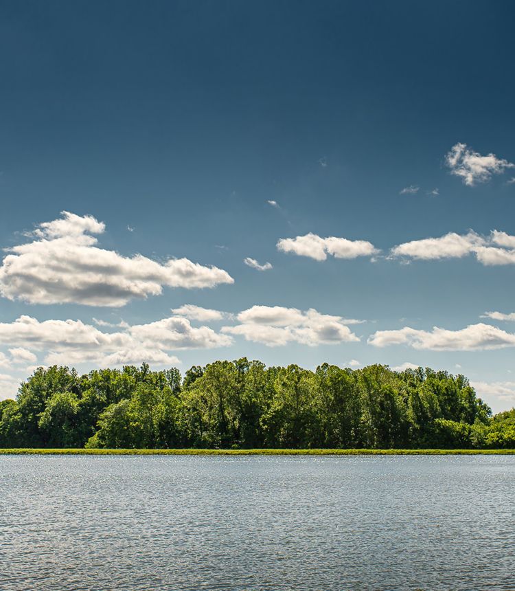 Large lake in the foreground with green trees on the shore on a sunny day.