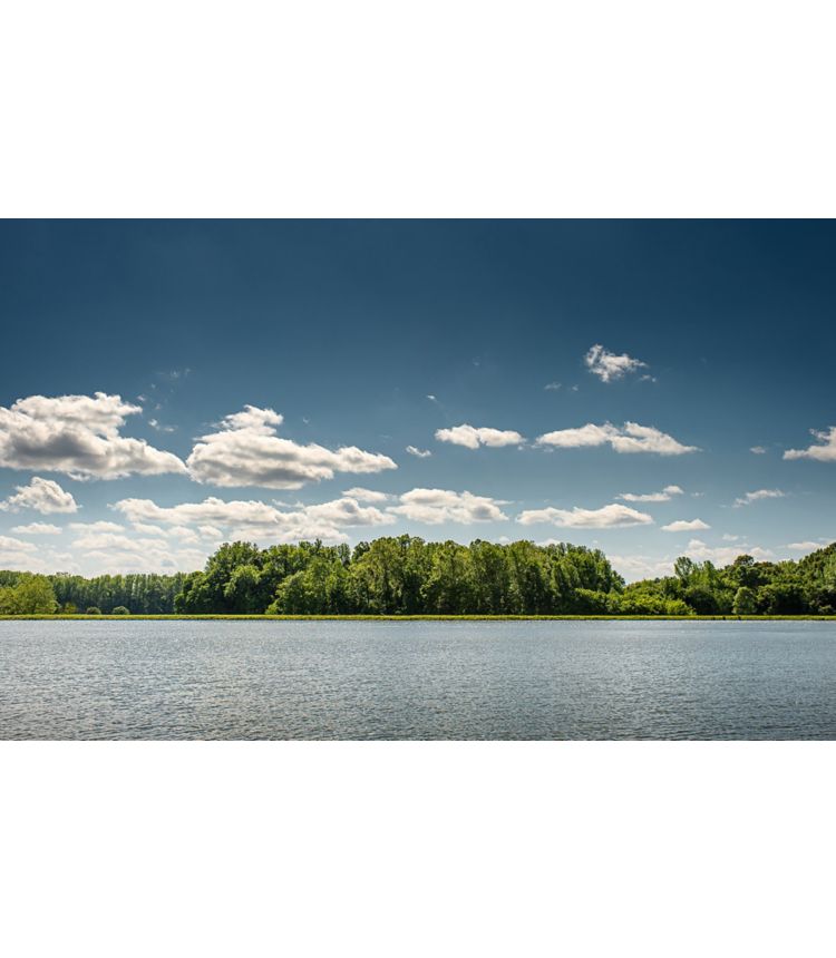 Large lake in the foreground with green trees on the shore on a sunny day.