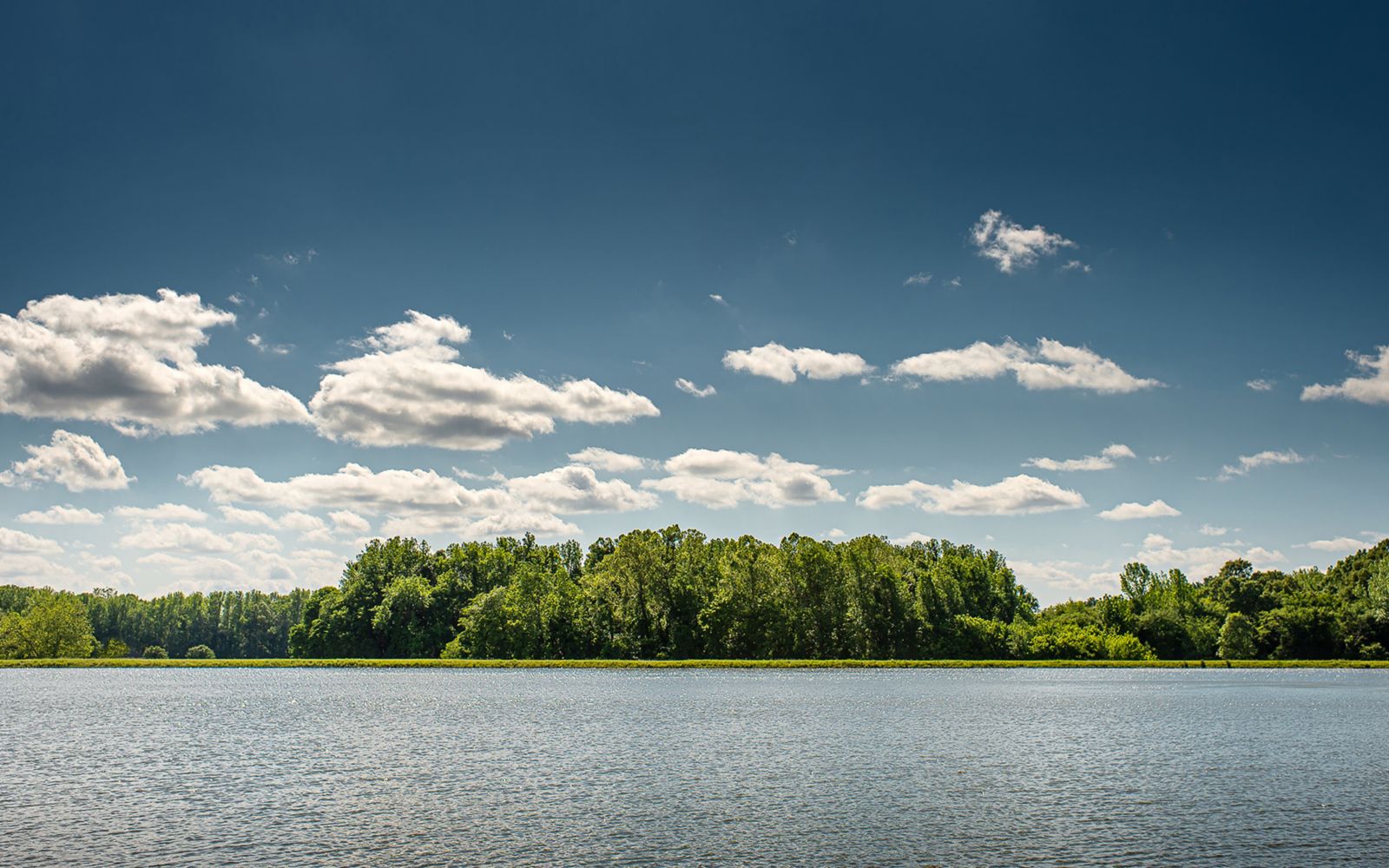 Large lake in the foreground with green trees on the shore on a sunny day.
