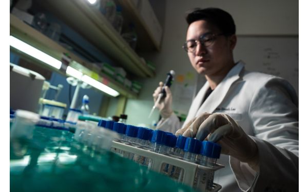 Labs | St. Jude Research