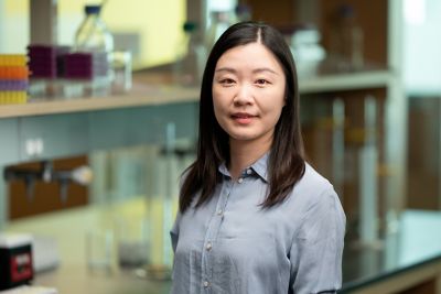 Dainan Li, PhD