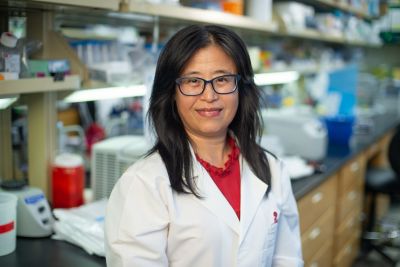 Xiujie Li-Harms, PhD