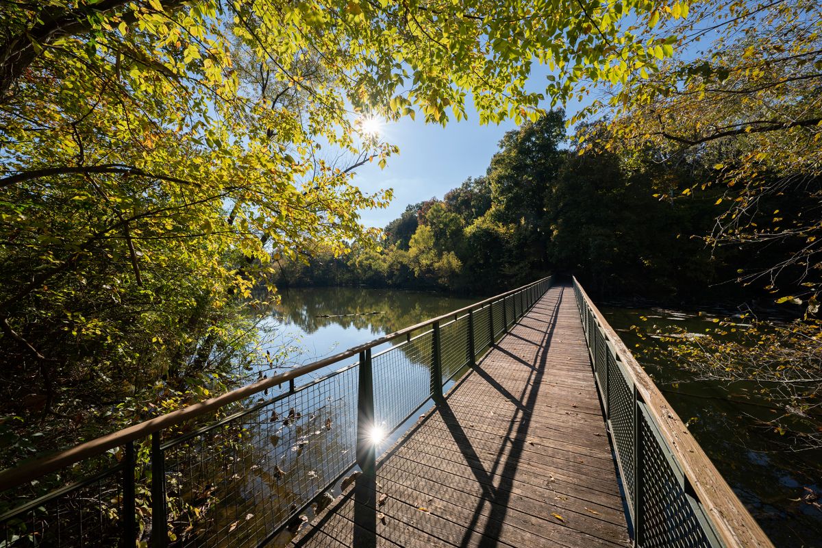 photo of bridge at Lichterman Nature Center
