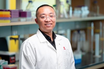 Qiang Liu, PhD