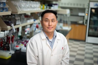 Jing Ma, PhD