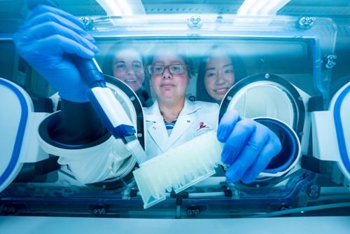 Maron, Margolis and Tang work at an anerobic hood