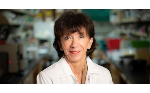Martine Roussel, PhD, stands for a portrait with her lab blurred out in the background.