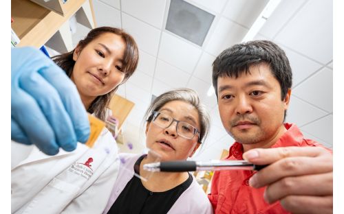 Yurika Matsui, PhD, Jamy Peng, PhD, Beisi Xu, PhD, 