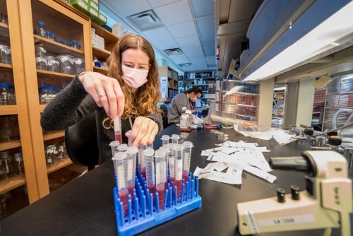 McGargill Lab