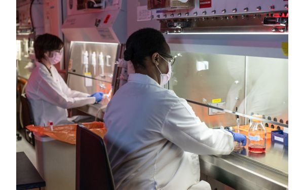 Labs | St. Jude Research