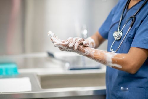Female medical personnel scrubs hands and arms with disinfectant soap.