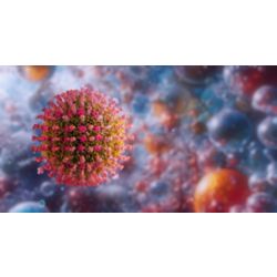 Measles Virus