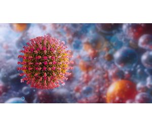 Measles Virus